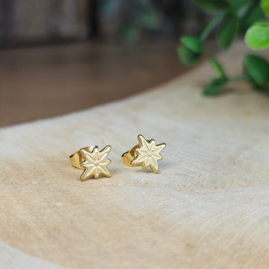 Boucles d'oreilles étoile polaire