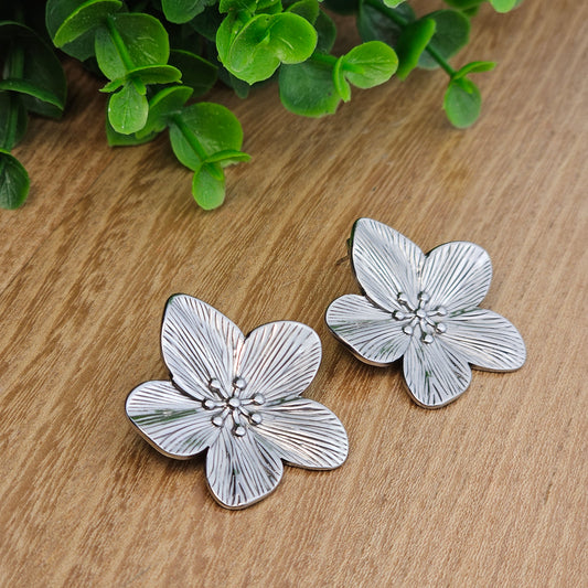 Boucles d'oreilles Aimée argentée