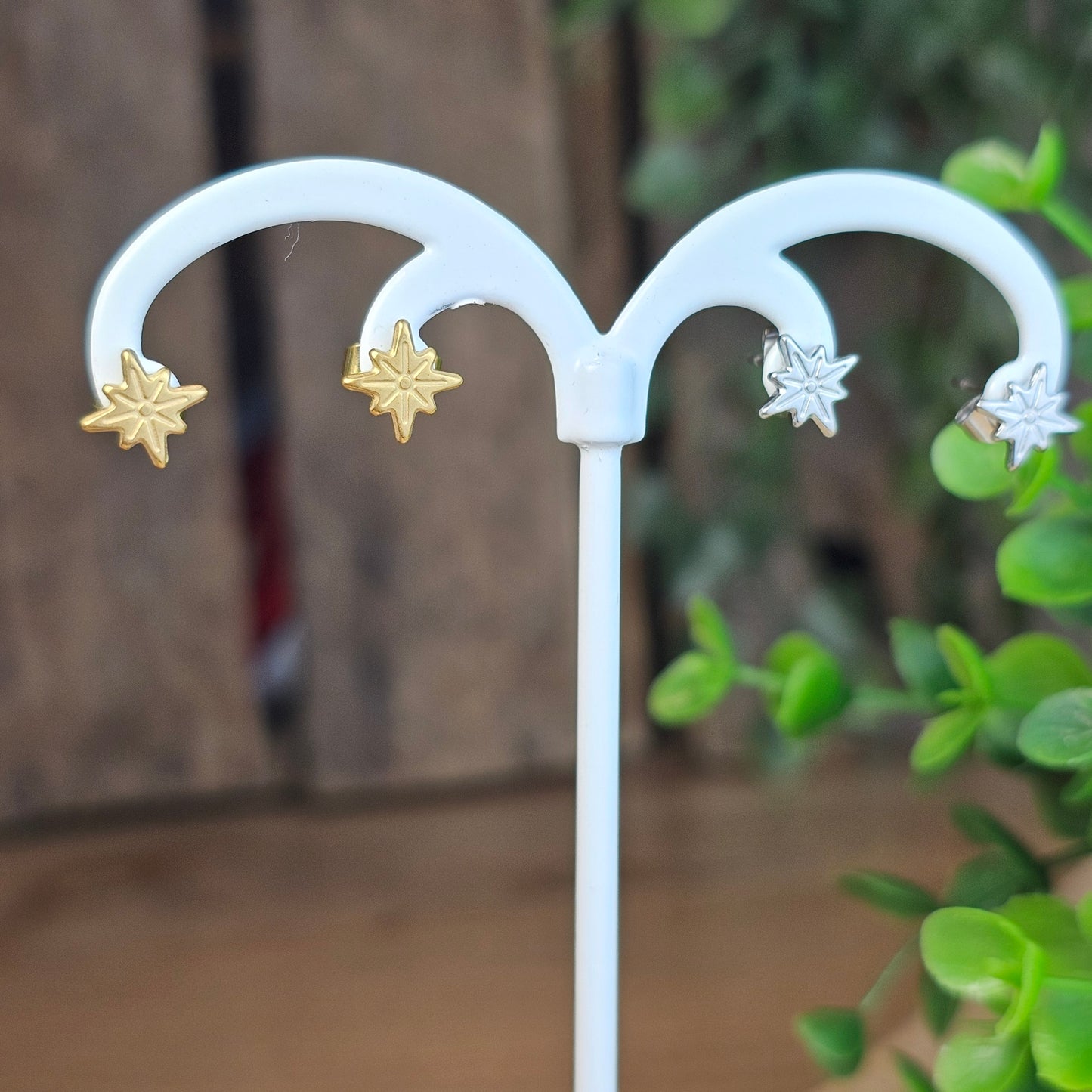 Boucles d'oreilles étoile polaire