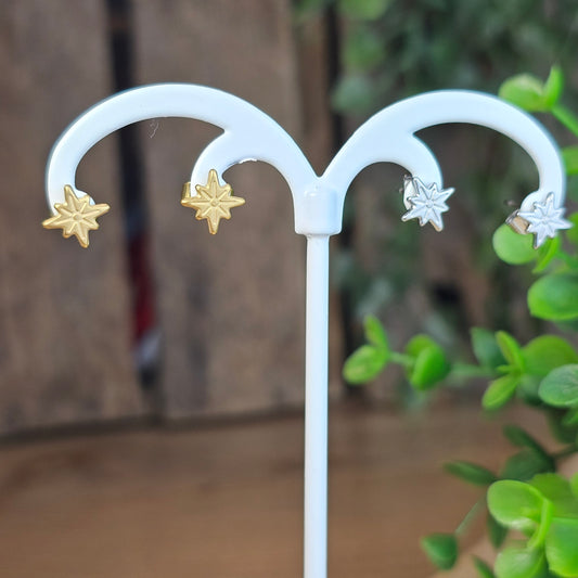 Boucles d'oreilles étoile polaire