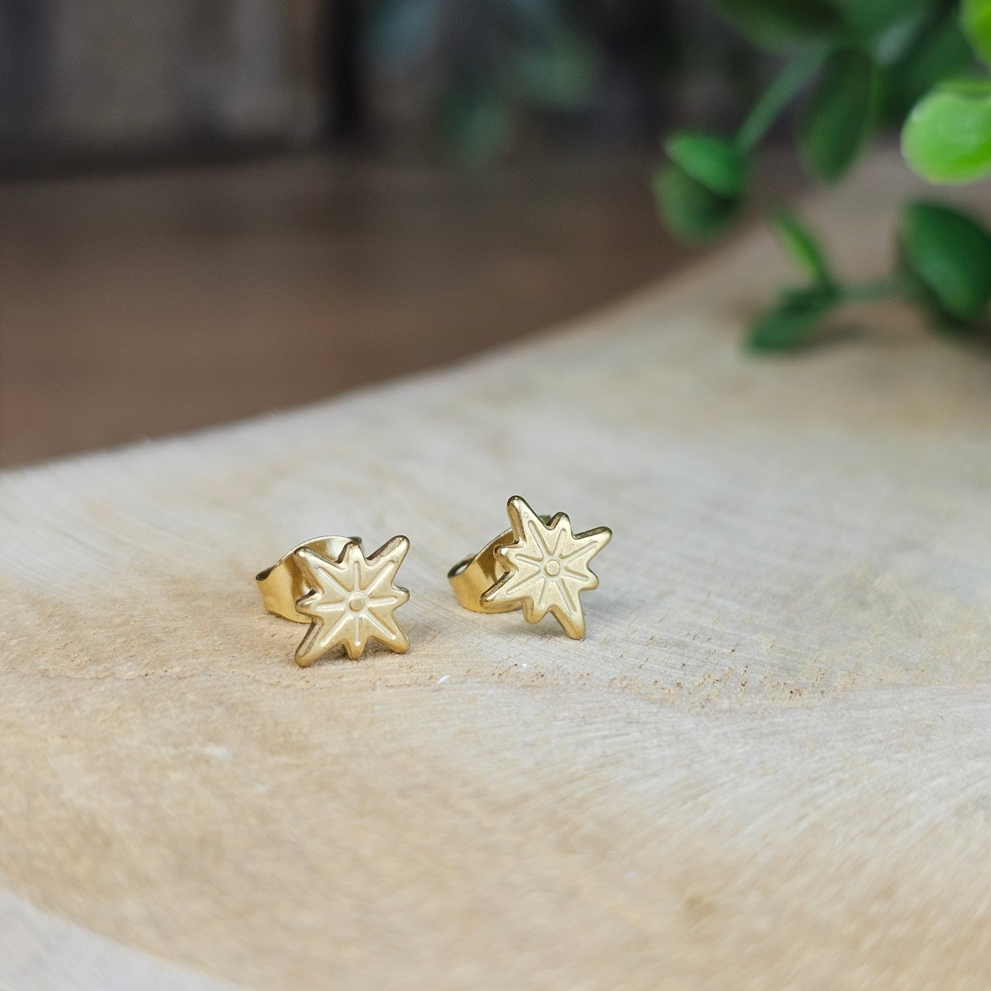 Boucles d'oreilles étoile polaire