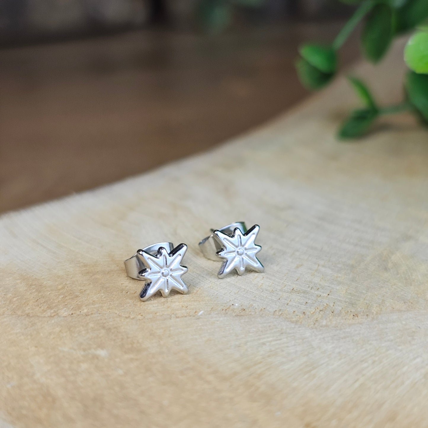 Boucles d'oreilles étoile polaire