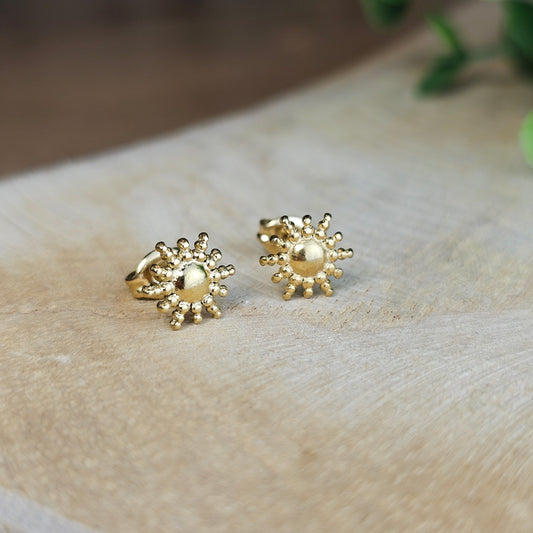 Boucles d'oreilles Steny